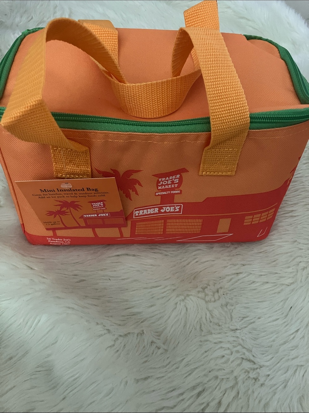 Trader Joe's Orange and Green Insulated Lunch Cooler Bag